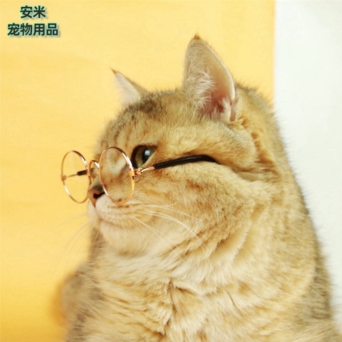 Pet glasses personalized creative photo taking pet sunglasses retro cool funny cat glasses wholesale