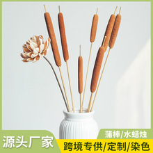 香蒲棒水蜡烛香蒲草 干花diy材料包花材摆件真花永生花束干花批发
