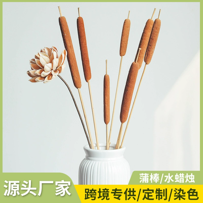 Рогатый хвост палочка водная свеча роготик сушеный цветок DIY Материал сумка цветок украшение настоящий цветок бессмертный букет сушеные цветы оптом