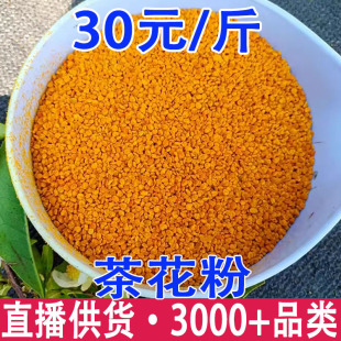 ��ϲ軨�۷仨���Ͳ˻�����Ȼ�軨�����l���l