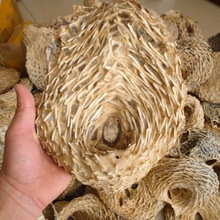 3-8头各规格刺龟肚500g批发刺龟鱼皮干货护胃刺猬皮刺豚皮煲汤