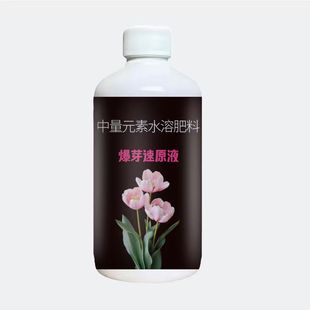 burst budding fast stock solution plant sprouting promoting sprouting fleshy green plant flower universal burst budding stock solution burst budding stock solution