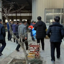 ���õ�ʰ�޻��O�� �����޻����ޙC�r�Iժ�޻��Cе�������Ͳ��ޙC