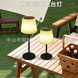 装饰台灯;小夜灯;落地灯