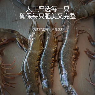 �S�����l�|ɽ���r�ڻ��r�߹��r�ϻ��r�r���ك�8~12�lҎ������