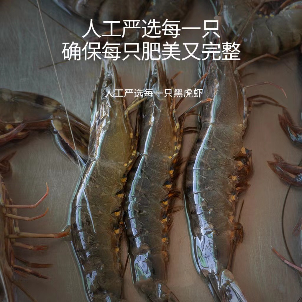 厂家批发东山海鲜黑虎虾斑节虾老虎虾鲜活速冻8~12条规格餐饮供应