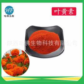 叶黄素10%-80% 叶黄素微囊粉 水溶性叶黄素 哈佛现货 叶黄素