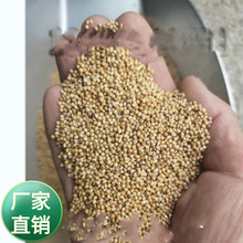 ���K���ѹ�˾���l�G��������ϲ�����β��β�ݷN��С�ײ��͸ߜ�