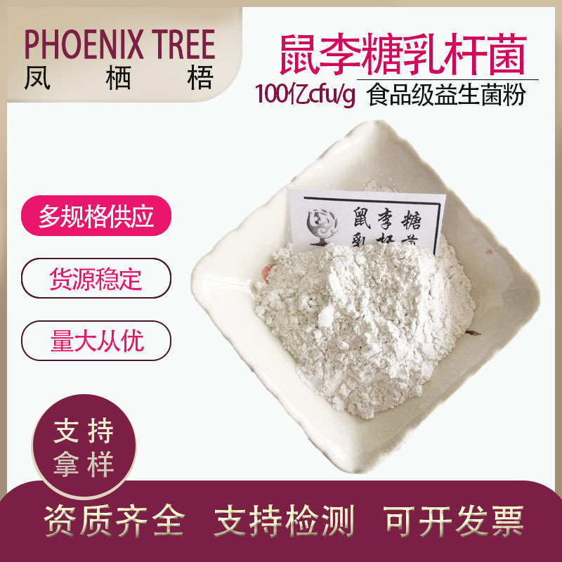 食品级现货鼠李糖乳杆菌100亿CFU/g鼠李糖益生菌压片糖果乳酸菌粉