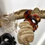 简约南瓜pc鲨鱼夹