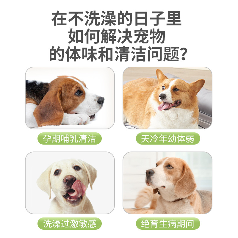 Guantes desechables para mascotas toallitas para gatos y perros limpieza en seco sin baño especial artefactos suministros de limpieza Toallitas desodorantes