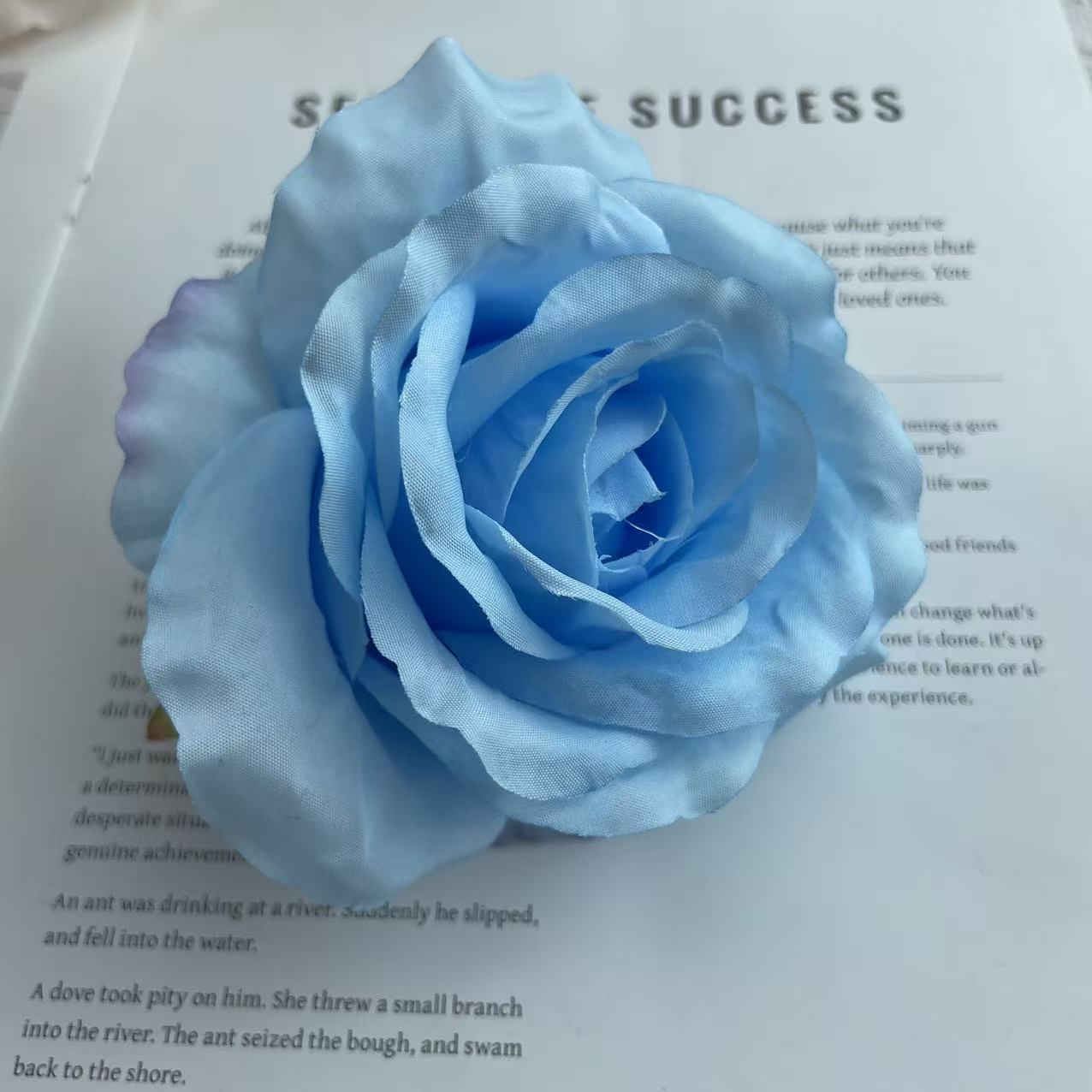 Anna gran rosa cabeza de fábrica al por mayor flowerhead flower corona flower pared flower arrangement artesanía DIY