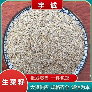 �����������l�������n�����������S�����n���Ѱ��Ą����o�Ӱ���