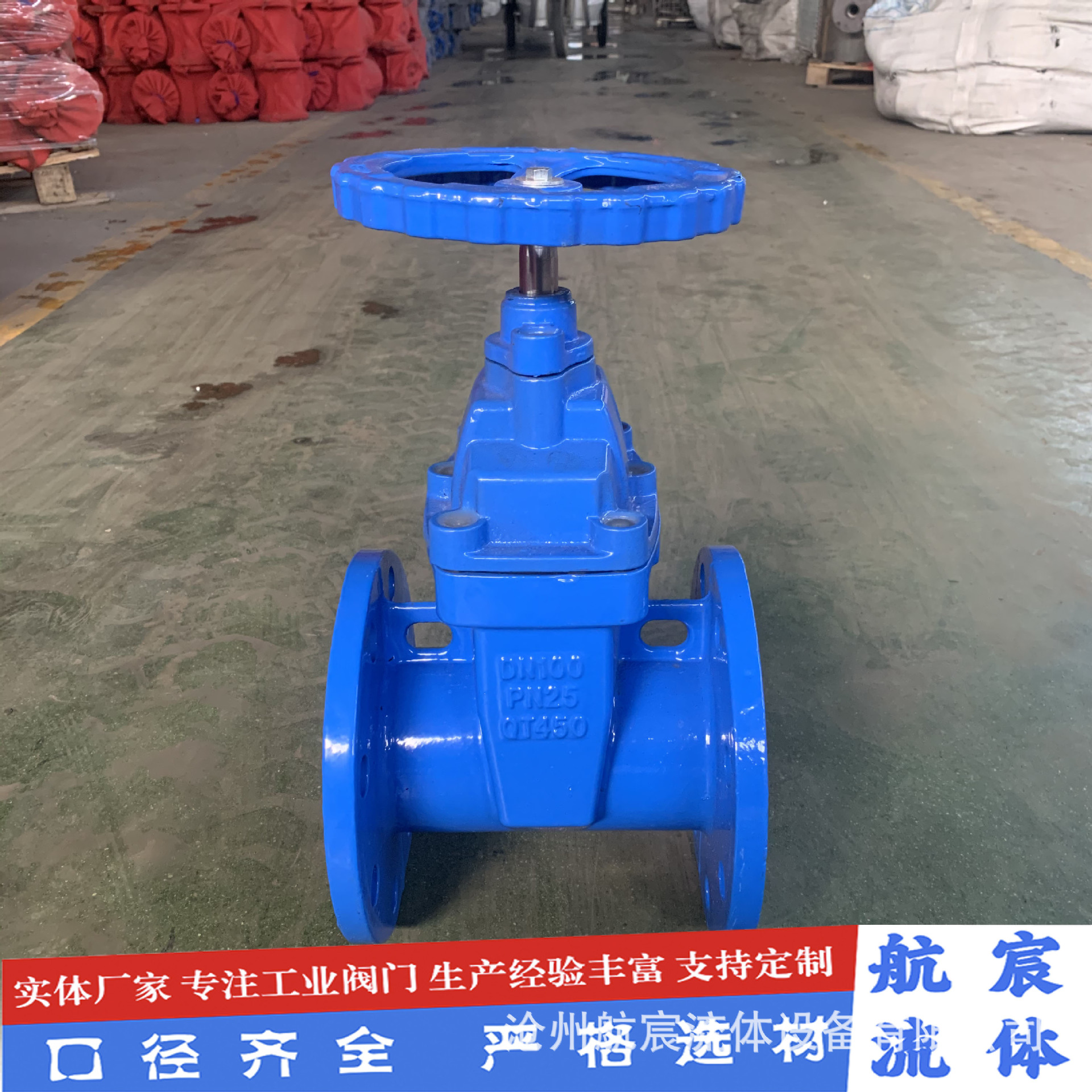 暗杆软密封闸阀国标大体Z45X-25Q自来水阀门