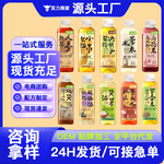植物饮料果蔬汁饮料茶饮料厂家代工批发OEM瓶装 红豆薏米水