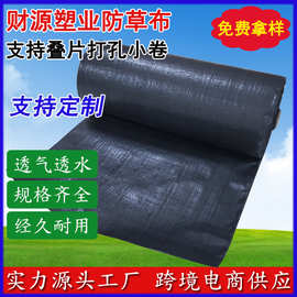 现货供应PP/PE透气渗水除草布亚马逊果园园艺地布耐用黑色防草