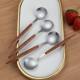 Stainless Steel Spoon Portuguese Tableware Creative Imitation Wood Grain Clip Handle Round Spoon Household Dining Spoon Coffee Spoon Dessert Spoon