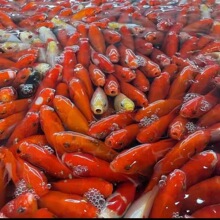 ���~���l�^�p�~�ݽ��~��ˮ�ͻ���ؔ�\�a���~�t�ݽ�ˮС�t�~