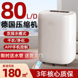 新飞品牌除湿机家用大功率抽湿机地下室吸湿器回南天防潮干燥湿去