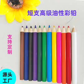 工厂直供12色学生专用绘画彩色铅笔短支高级油性彩铅可印LOGO批发