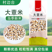 大薏米红豆组合五谷杂粮粗粮农家特产健康八宝粥原料新鲜真空包装