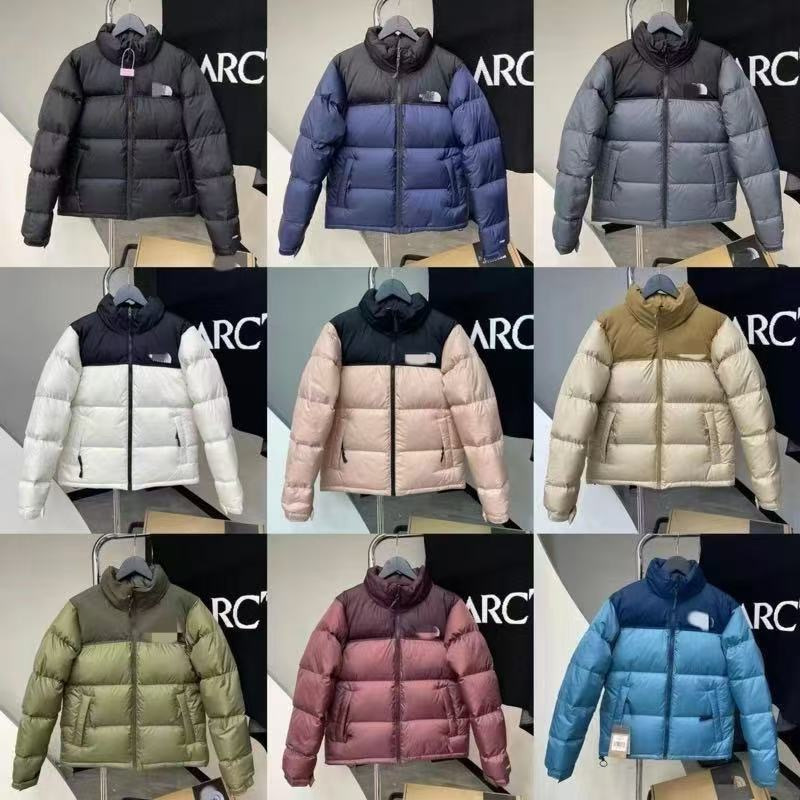 Putian High-End Version North Face down Jacket 1996 American Version Unisex 90% White Duck down 700 Fill Power Embroidered Warm Coat