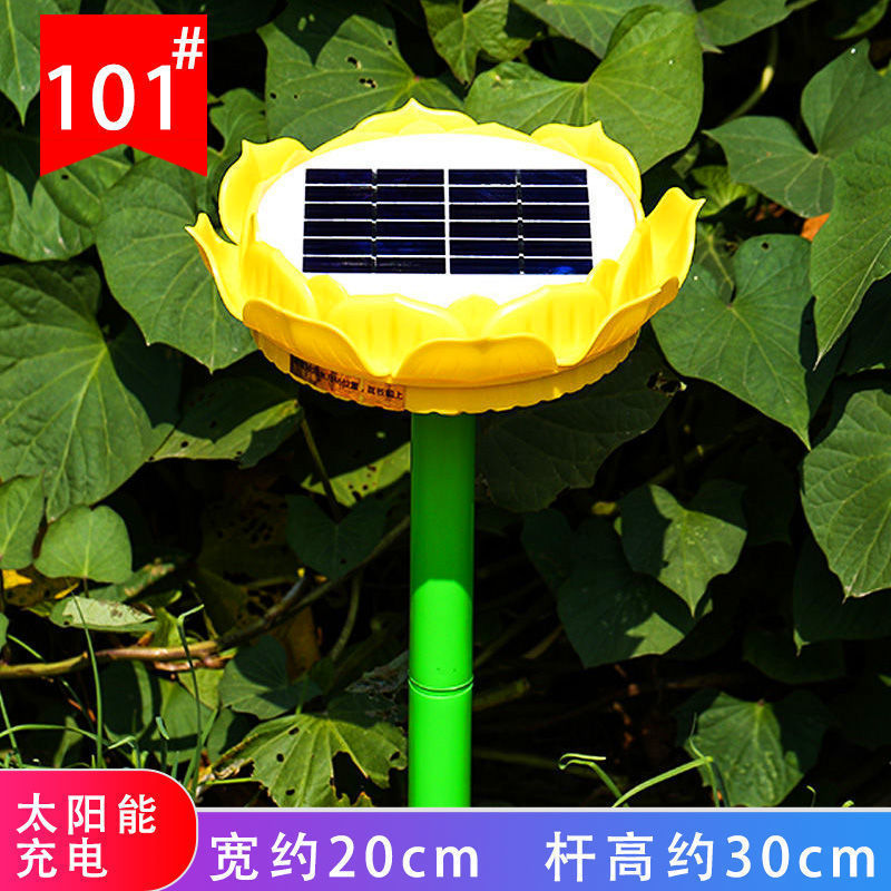 101 옐로우 솔라