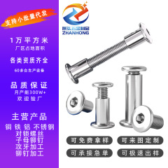 304 ステンレス鋼六角穴付き面取り合板ナット M2-M8 ネジ、家具用ロックネジ、ネジ、リベット