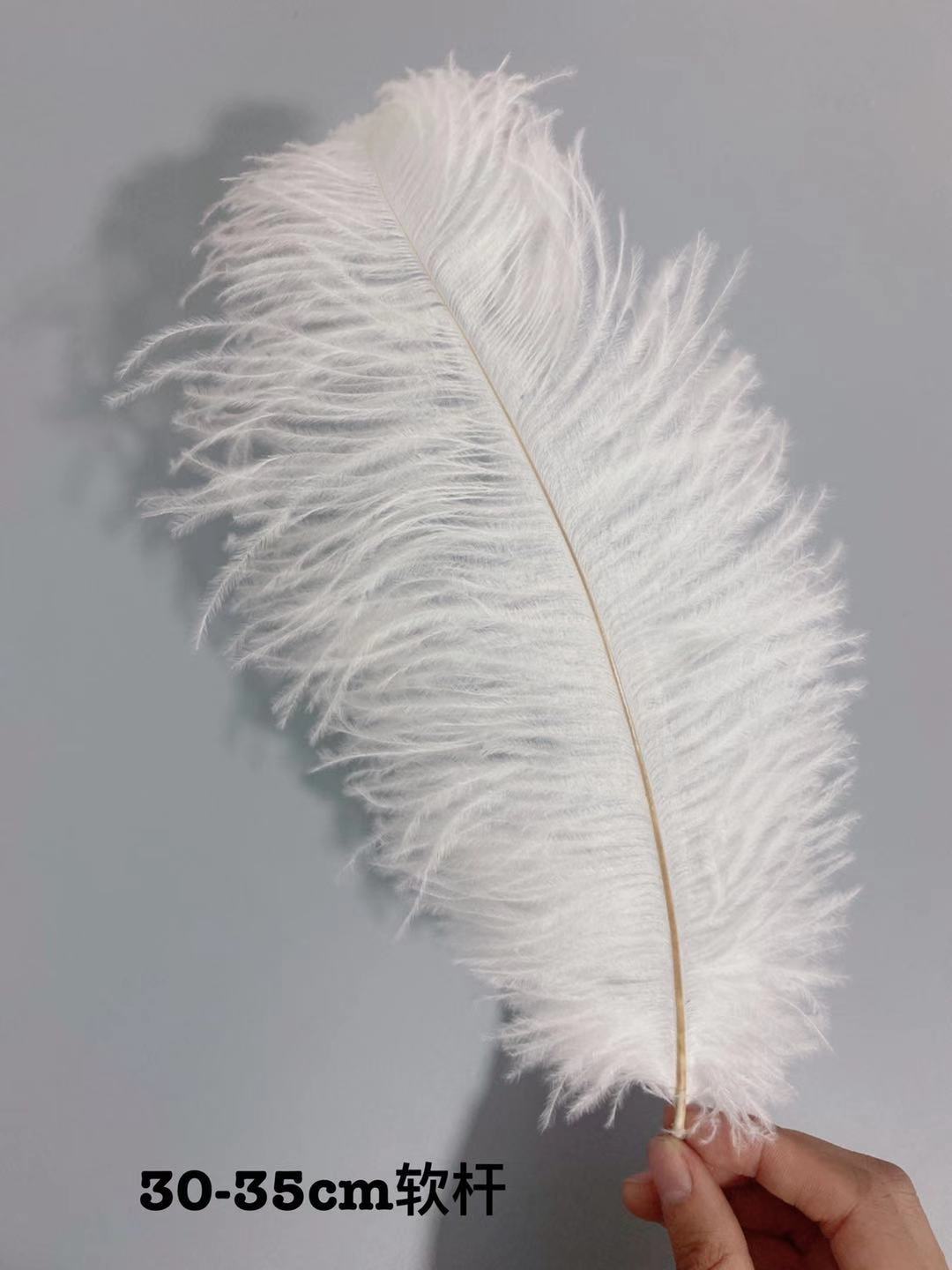 ba187ad1744a839861cc61ae6bb1c7