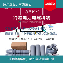 20240313������Ʒ�߉���|�K���^�P��35KV��s������ȑ������g