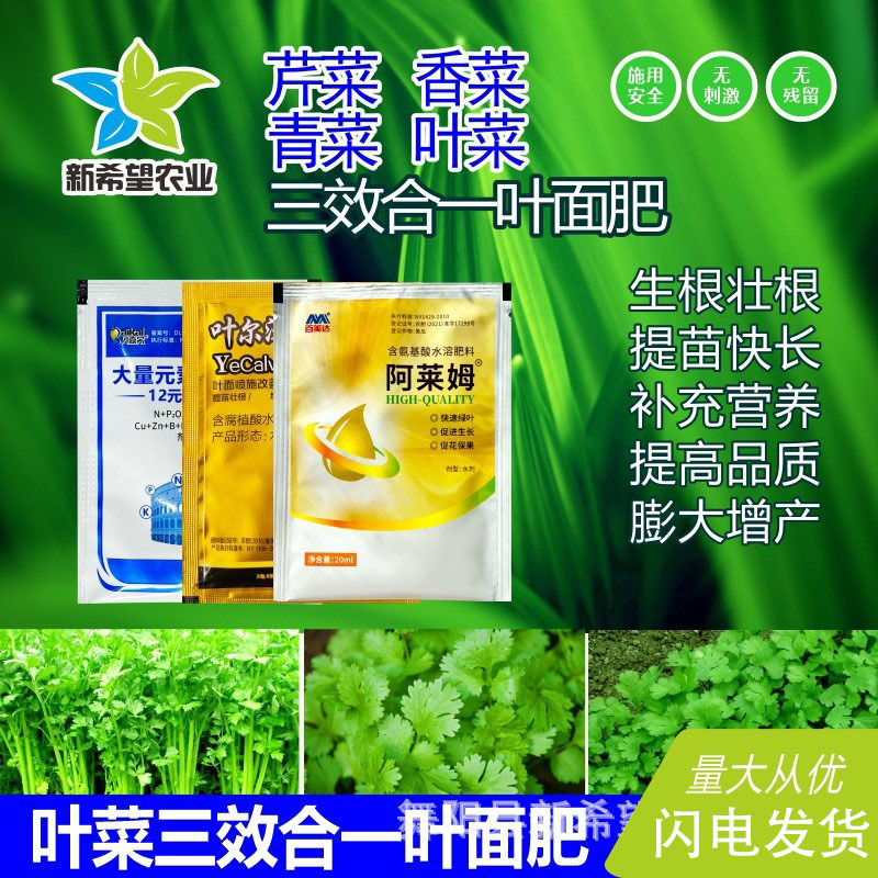 芹菜香菜专用叶面肥 生根壮根营养快长叶绿 叶菜生菜氨基酸叶面肥
