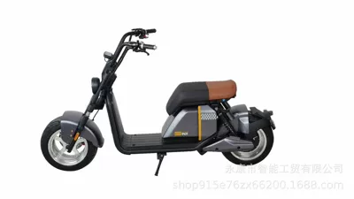 New Cross-Border Export: Elektrikli motosikletlər - black-20ah