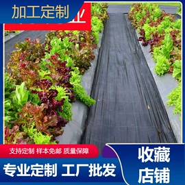 遮阳网;其他安全网;伪装网