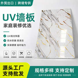 现货uv墙板仿大理石鎏金板岩板艺术背景墙微晶板石塑护墙板批发