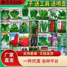 һ�����l�߲˷N���ļ����N�̨�r��ͥԺ�������˲��˾²���˲�ݮ