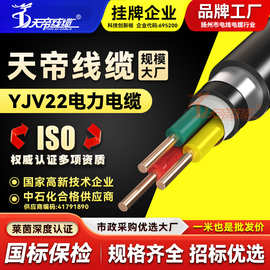 天帝YJV22铠装铜芯电力电线电缆3芯4 6 10 16平方交联绝缘抗拉伸
