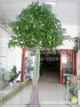 ����lؔ�����ֲ��͏d����辰���;Gֲ���Ի�����٘��҃�ֲ��