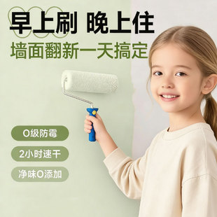 �Ƞ��h�����z���҃ȼ��ð�ɫ��ˢ�۠����ɫ�T�����᠝���ޏ͟oζ