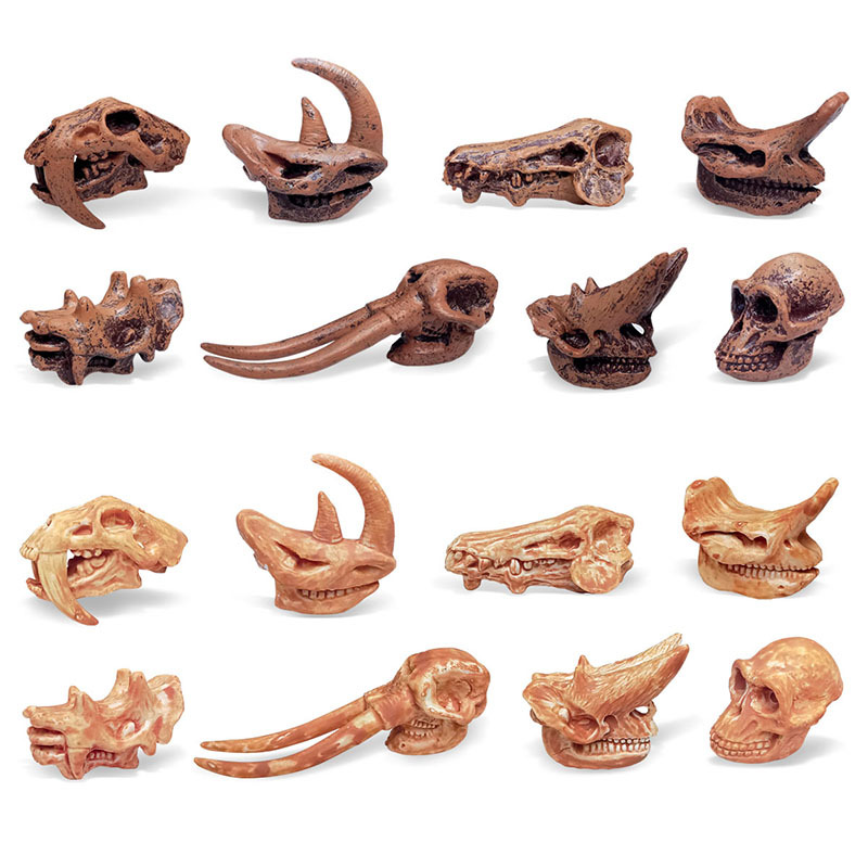 Simulación transfronteriza dinosaurio Jurásico cráneo decoración niños arqueología cognitiva dinosaurio cráneo fósil modelo juguete