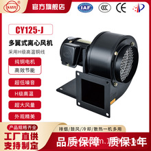 �S��ֱ�NCY125-J�x���L�C�D���Cе��s�L�C���ϔD���C�����L�C