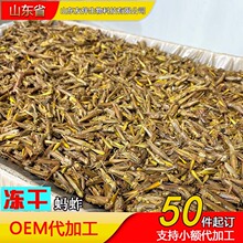 ���|����Λ�ƻ��x�~���~�^�p�~����B���Z�����ʳ�S�ҹ������l