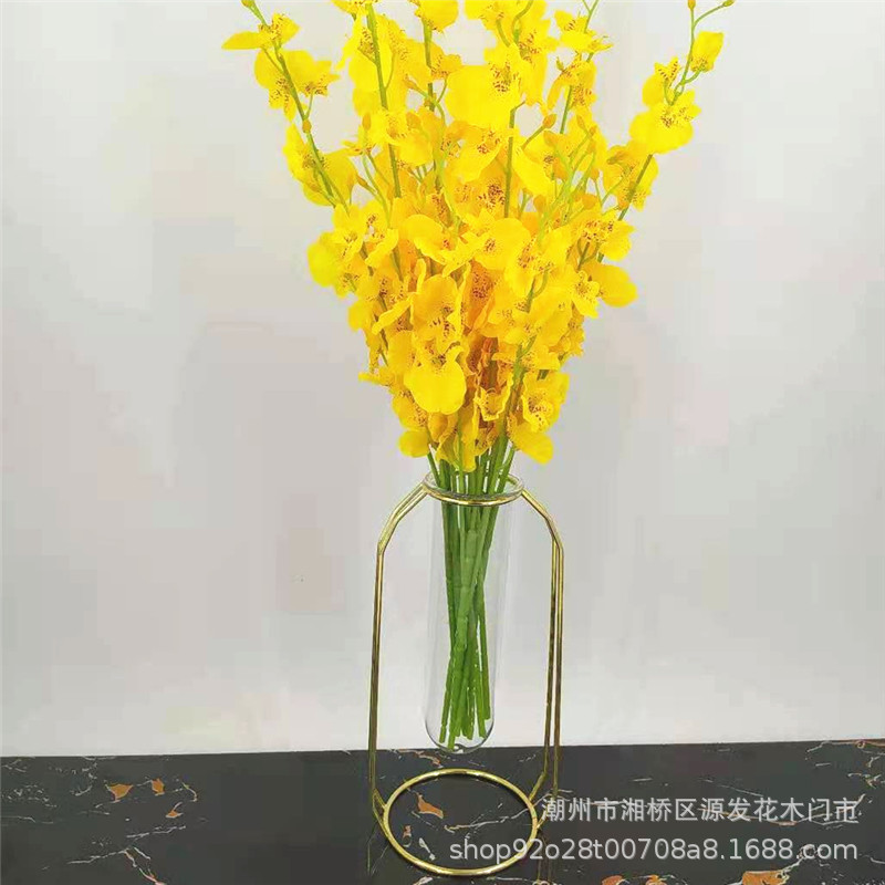 Creative Iron Plant Support for Hydroponic Plants, Flower Stands, Dried Flowers, Fresh Flowers, DIY Vase