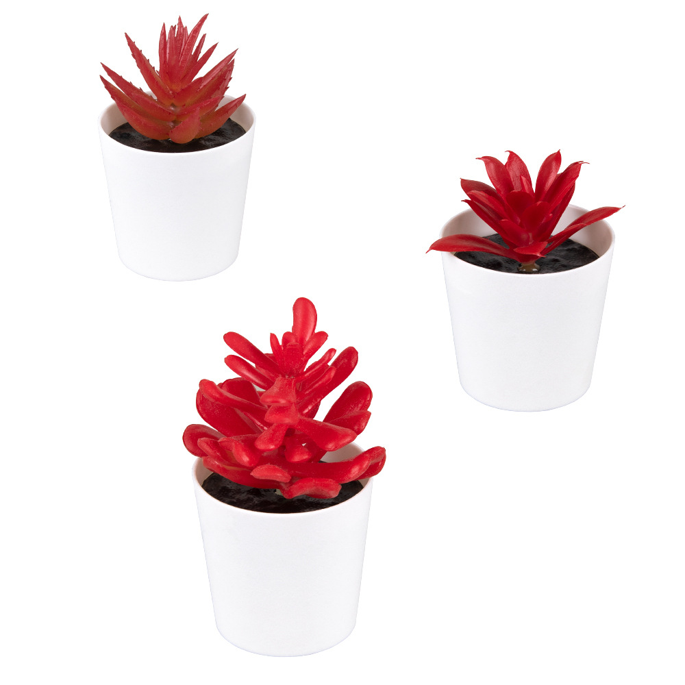 Tamaño pequeño de hadas Kedudo carne mini olla de simulación de plástico esmerilado pequeño bonsai decoración de escritorio regalo simulación suculento