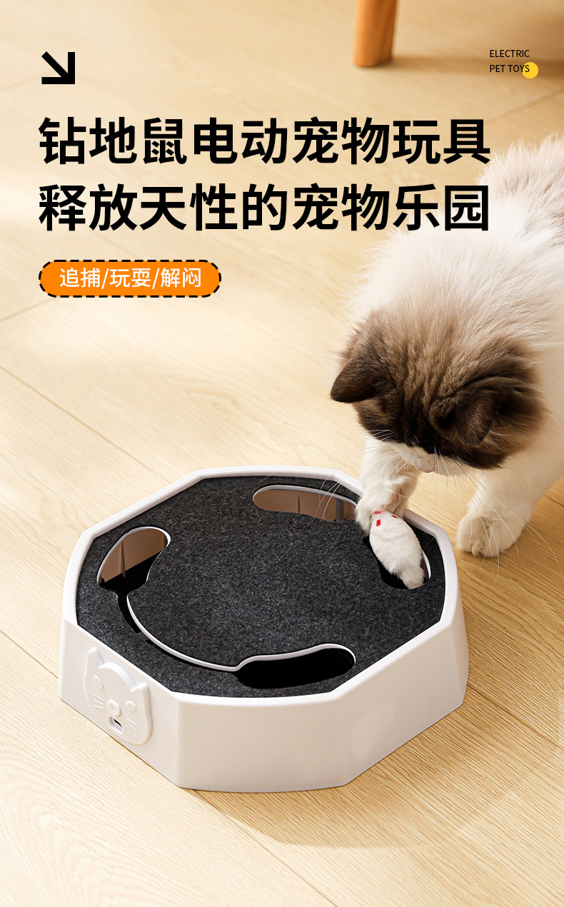 逗 猫盘
