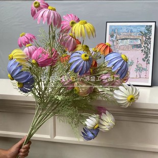 2024�¿�ĸ߷��洹��̫ꖾ��ָ���ĭ���|��������������Ȼ�ջ�