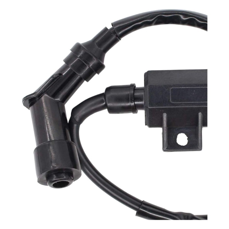 Paquete de alta tensión bobina de encendido LT80 Quadsport 80 Z 250 230 LT230S