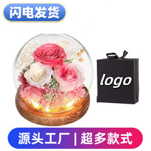 球形玻璃罩LED带灯永生花成品康乃馨玫瑰生日实用情人节礼盒跨境