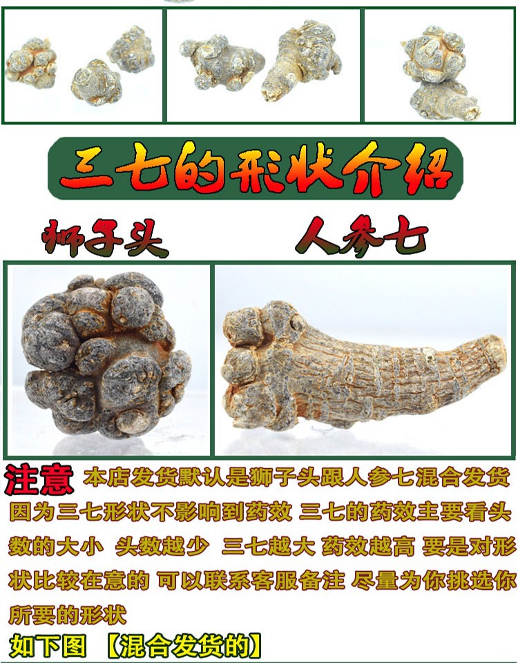 San Qi Notoginseng Root Tian Qi Dried Whole Roots Wenshan Panax notoginseng for Decoction and Powder quality and texture