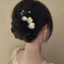 ���m����u�Ͱl���p�������^�����ʽ���۰l�����������^�P�l����