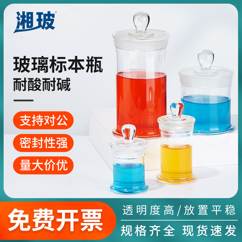 湘玻玻璃标本瓶密封玻璃样品瓶实验室动物植物标本展示瓶标本瓶